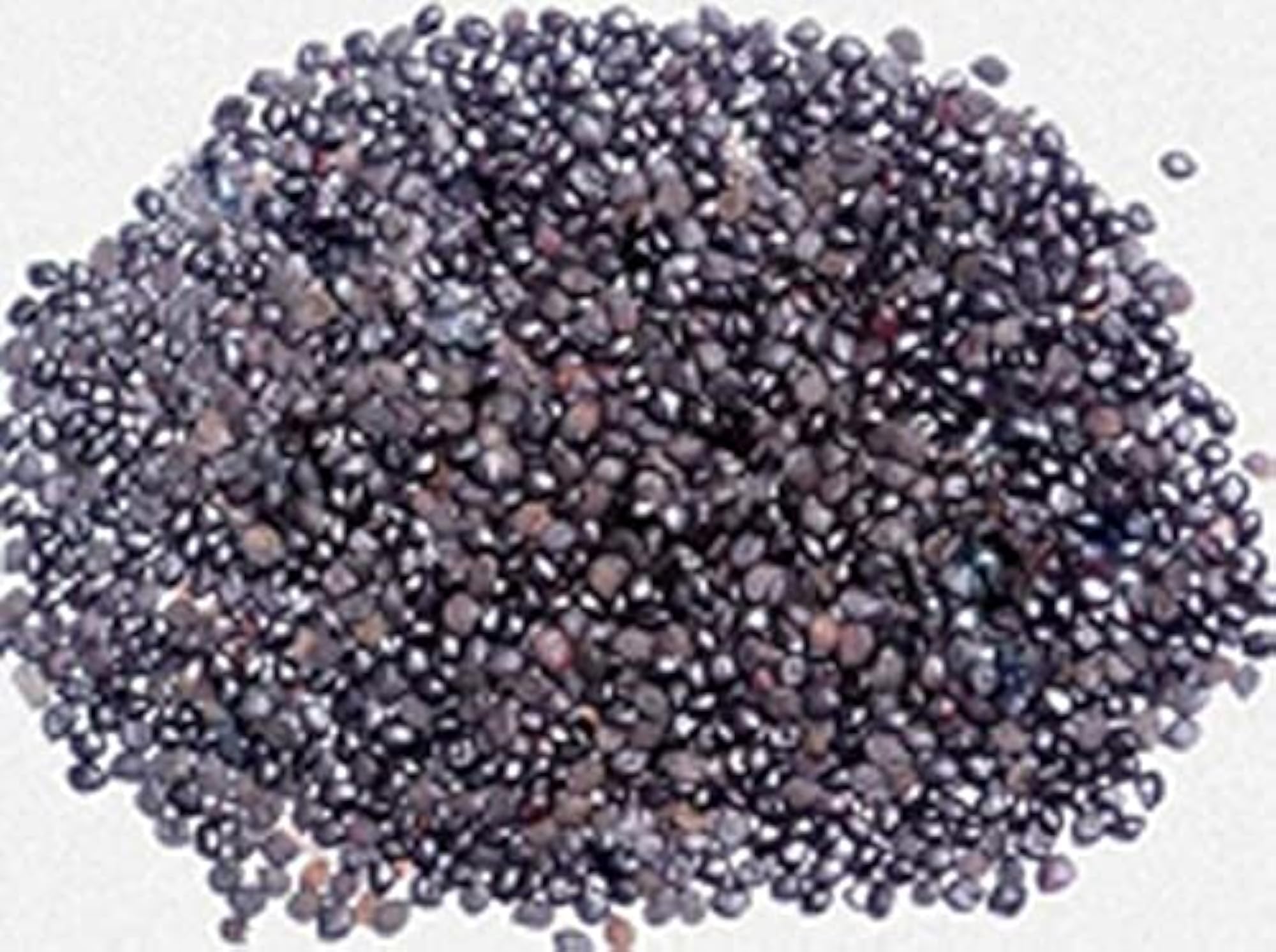 Chaksoo Seed Raw Herb, 250 Gram